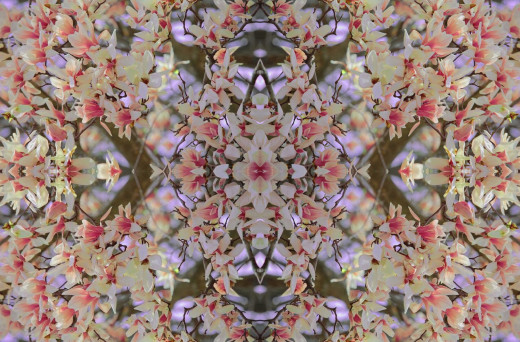 527390 (a): :1600x1050